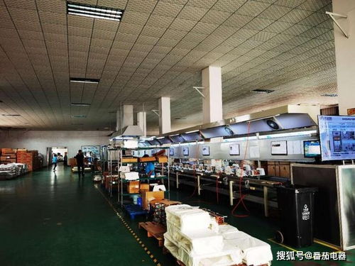 德國特維爾斬獲中國家電“磐石獎”，以卓越品質定義家用電器新標準